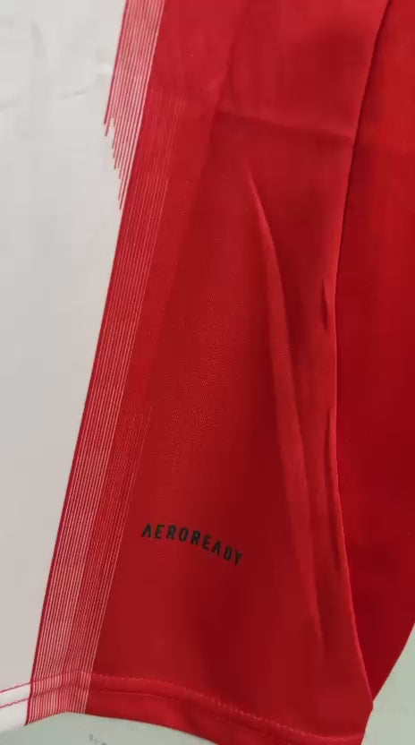 CAMISETA DEL BAYERN MUNICH 2025/2026 HOME