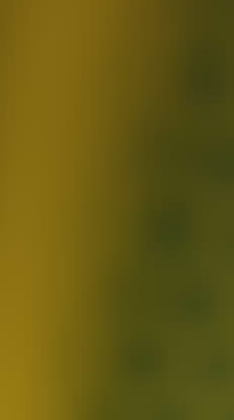 CAMISETA DE BRASIL 2004 HOME