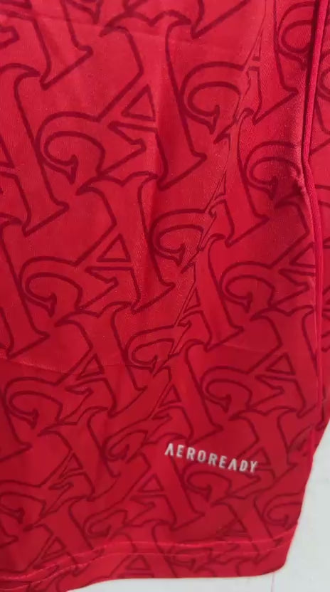 CAMISETA DEL ARSENAL 2025/2026 HOME